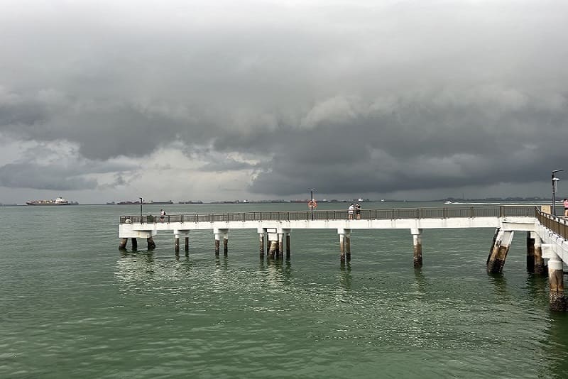 Labrador Nature Reserve (Park by the Sea)
