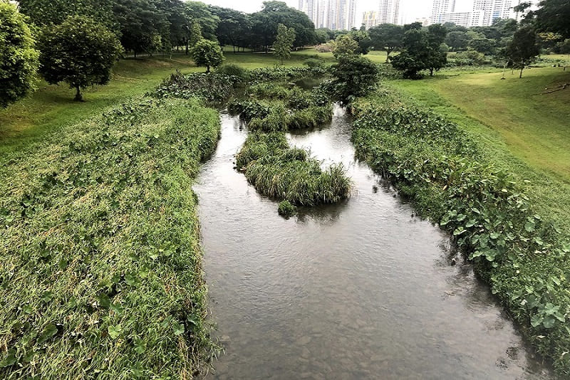 Bishan-Ang Mo Kio Park  (A tranquil adventure awaits you)